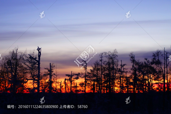 松林夕照
