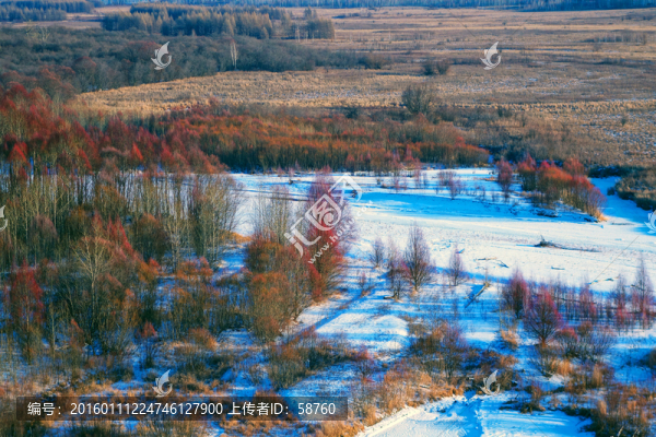 山林雪景