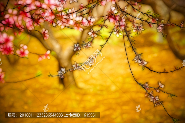 花枝,裝飾畫