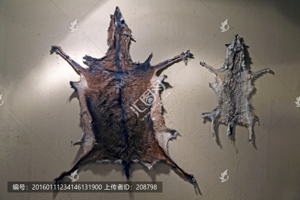 獸皮