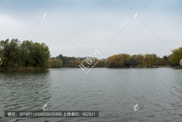 公園人工湖