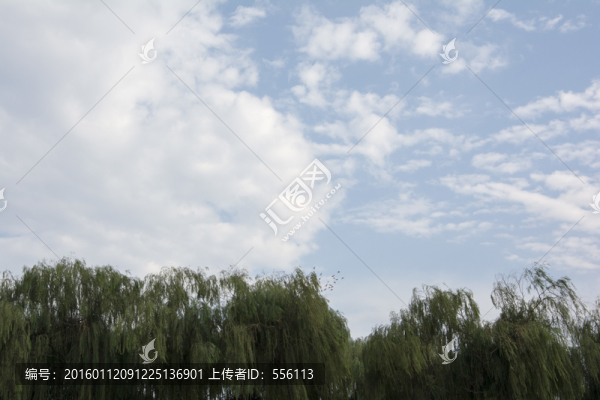 美麗的黃河