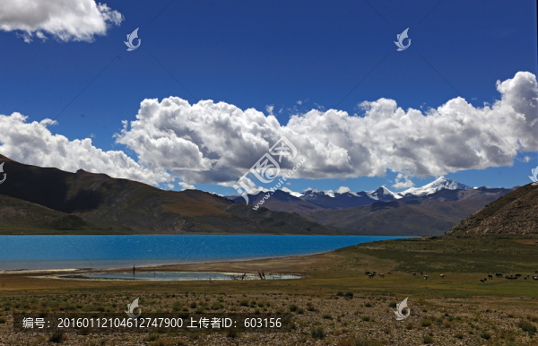 西藏羊卓雍錯(cuò),,羊湖