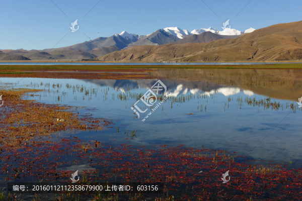 西藏羊卓雍錯(cuò),,羊湖