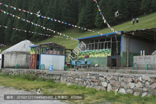 草原