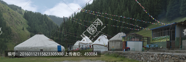 草原