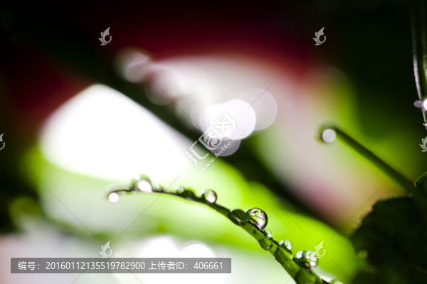夢幻水滴