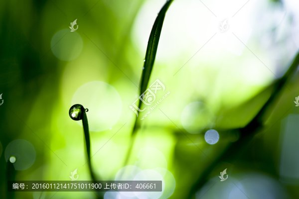 夢幻水珠