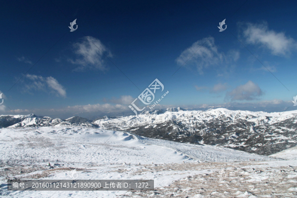 遠眺雪峰
