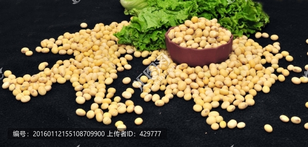 黃豆,豆類,豆子