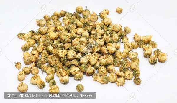 菊花茶,甘菊
