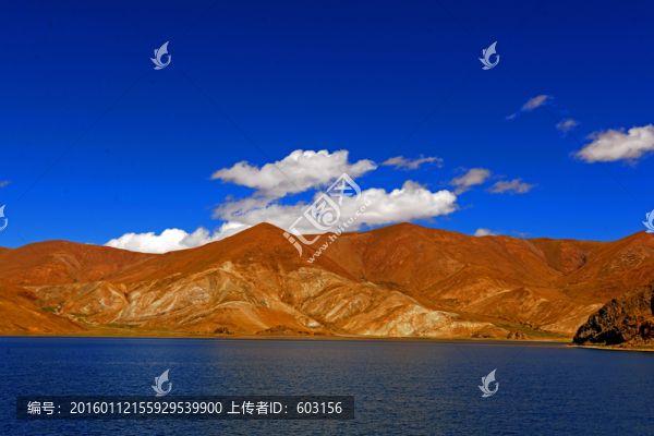羊卓雍錯