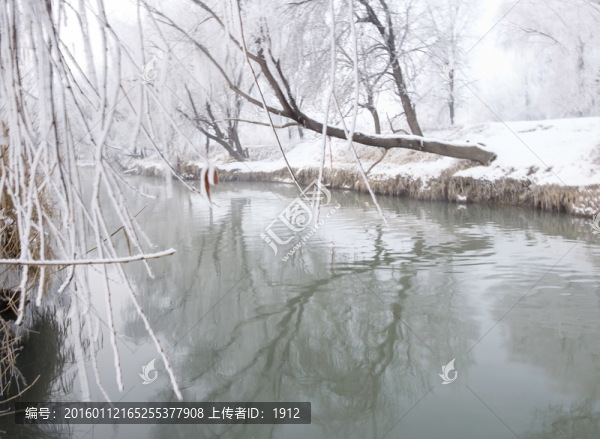 雪景
