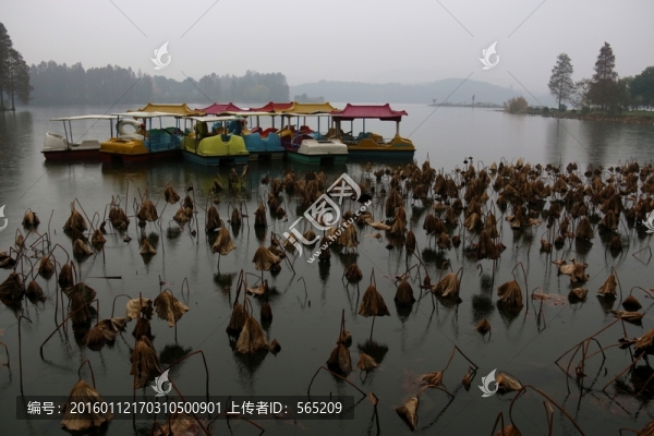 梅園風景