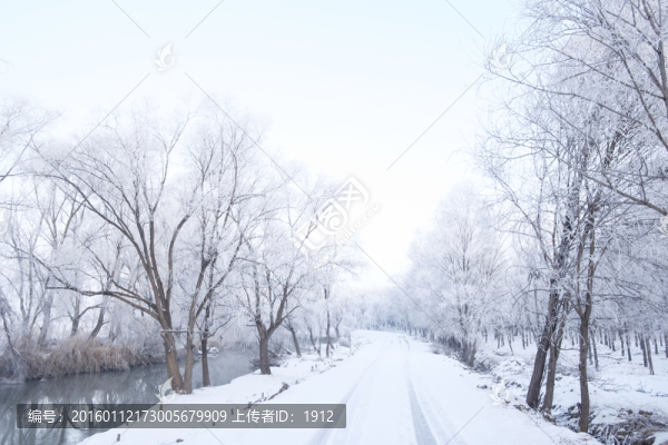 雪景