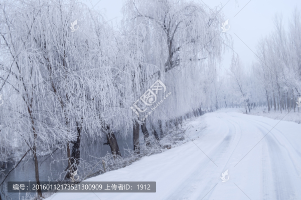 寧靜的小路