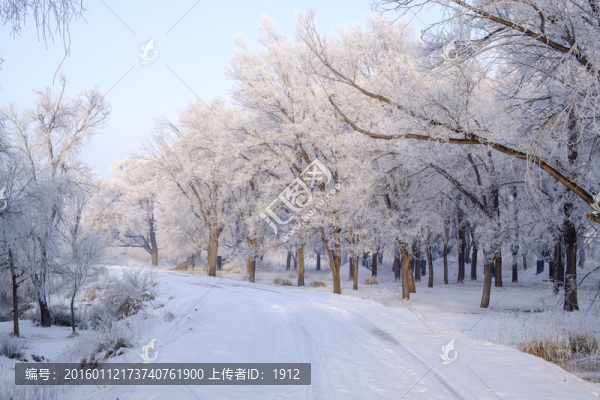 雪林小路
