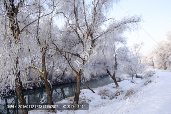 樹林