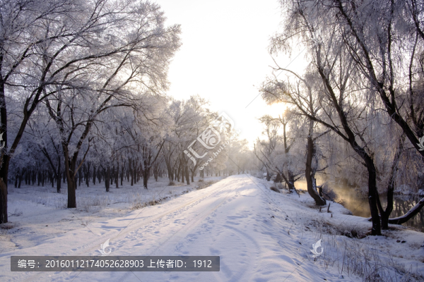 林中小路