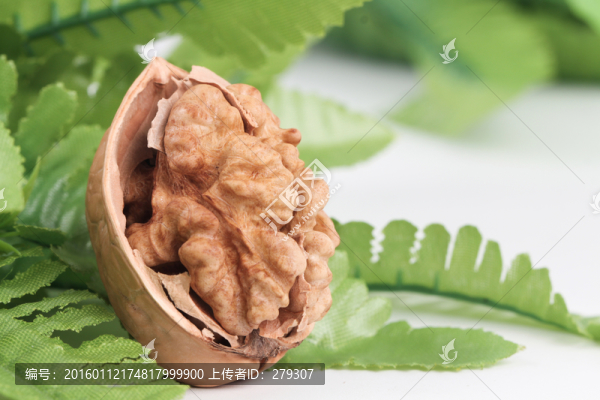 I新疆特級(jí)薄皮核桃
