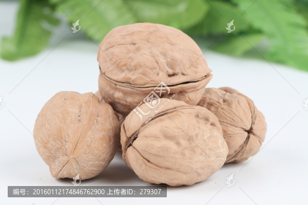 I新疆特級薄皮核桃
