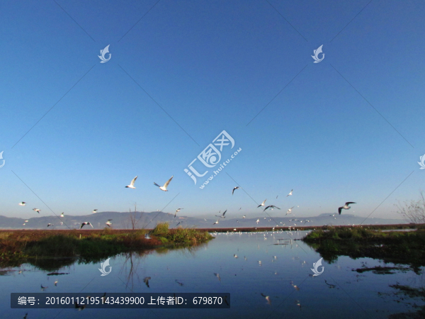 杞麓湖