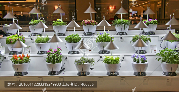 植物生長機