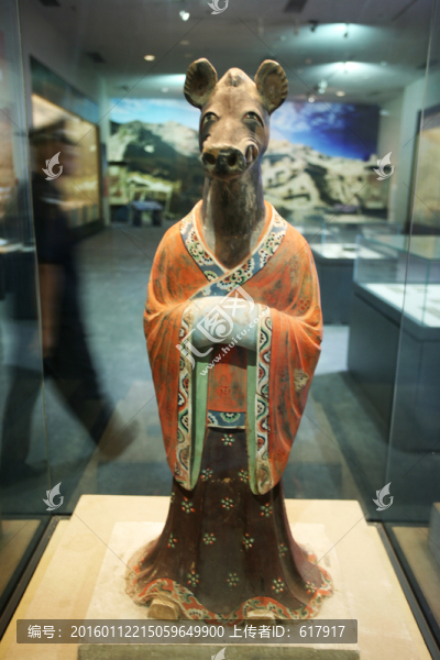 小豬首