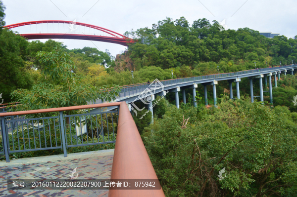 公園棧道