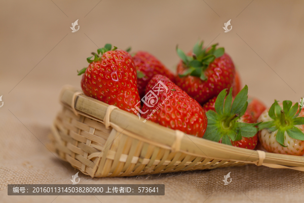 有機草莓