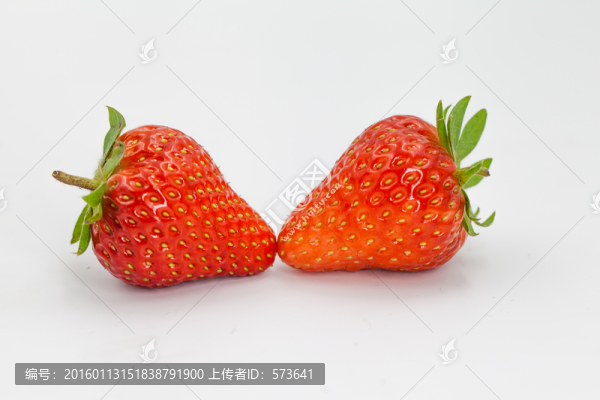 草莓