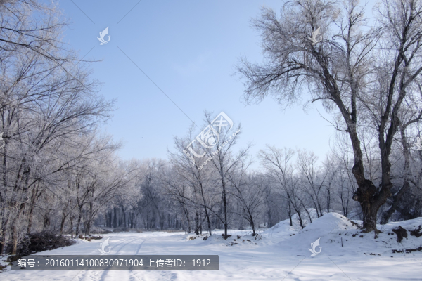 樹林