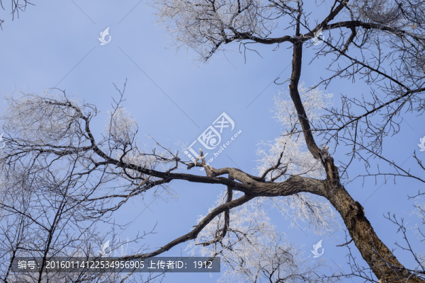 霧淞