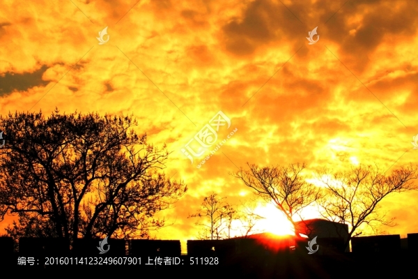 南京玄武湖公園風(fēng)光