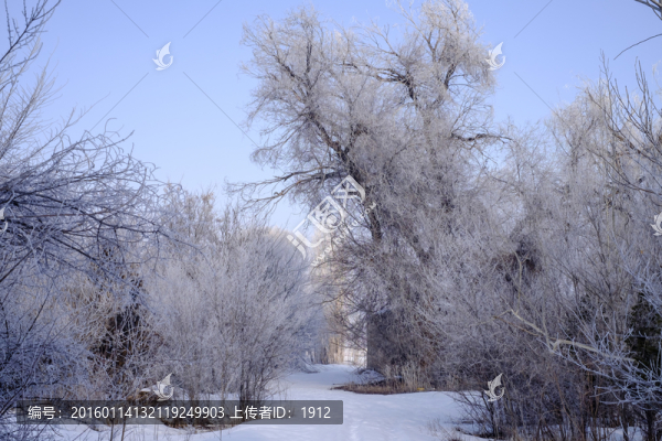 樹林