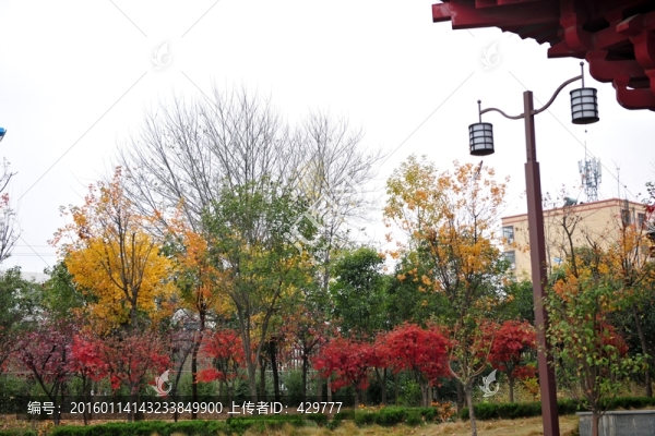 公園風(fēng)景,,秋季公園