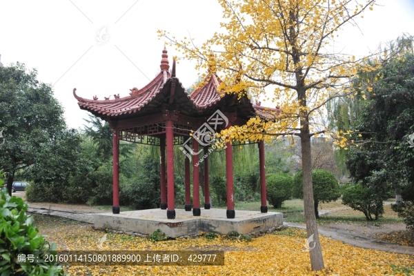 園林景觀,公園風(fēng)景