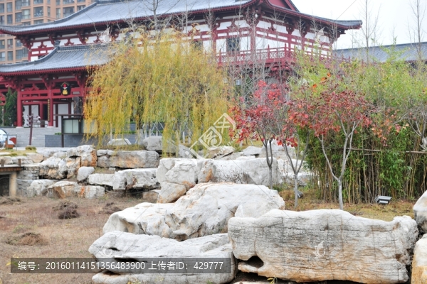 公園風(fēng)景,石頭,,園林景觀