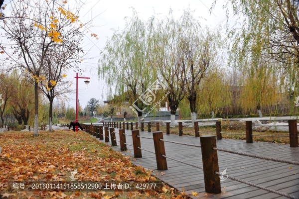 公園風景