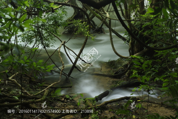 山澗溪流