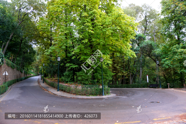 路,急轉(zhuǎn)彎