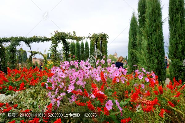 花園,花團(tuán)錦簇