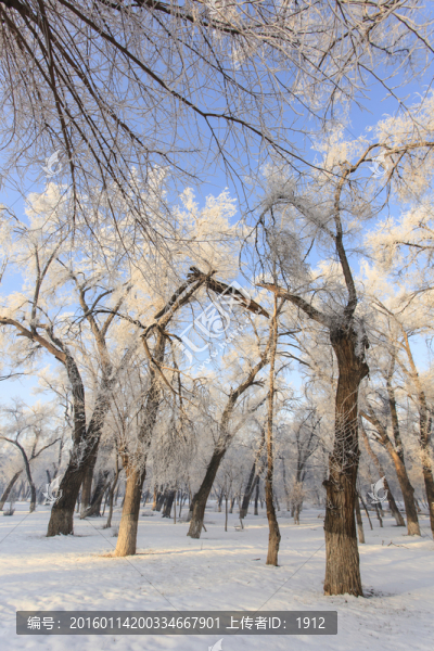 雪景
