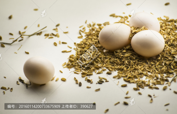 鴿子蛋