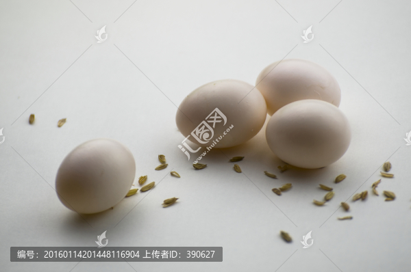 鴿子蛋