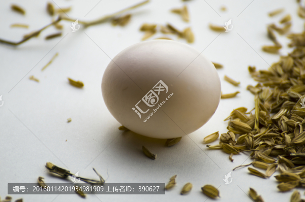 鴿子蛋
