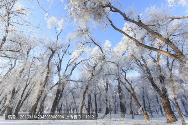 雪淞