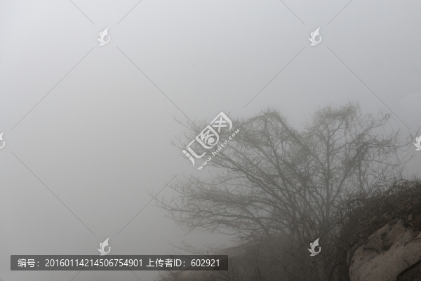 山霧