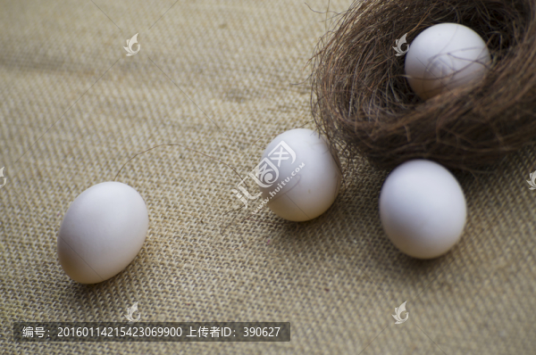 鴿子蛋