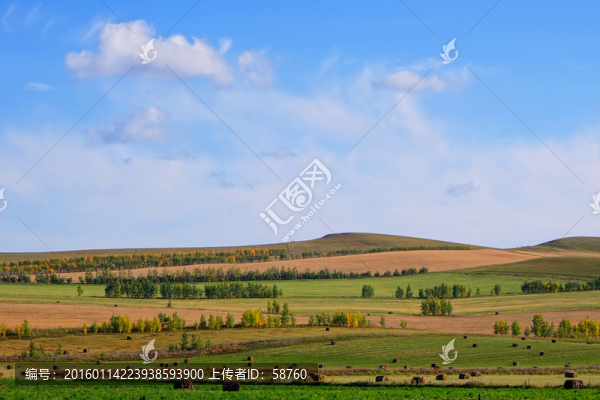田野秋景